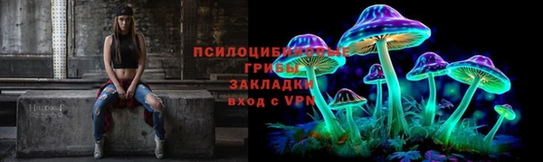 экстази Богородск