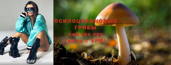 экстази Богородск