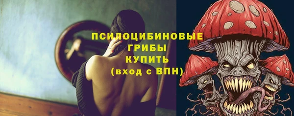 соль курить ск Богданович