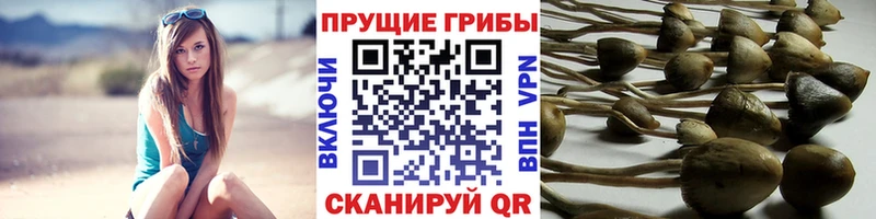 Псилоцибиновые грибы мухоморы  Катав-Ивановск 