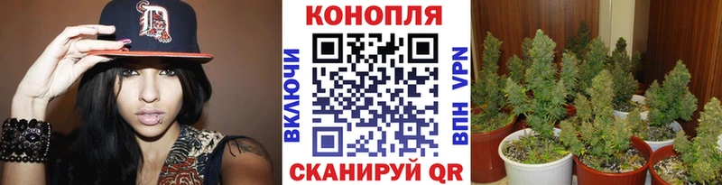 Бошки Шишки планчик  что такое наркотик  Катав-Ивановск 